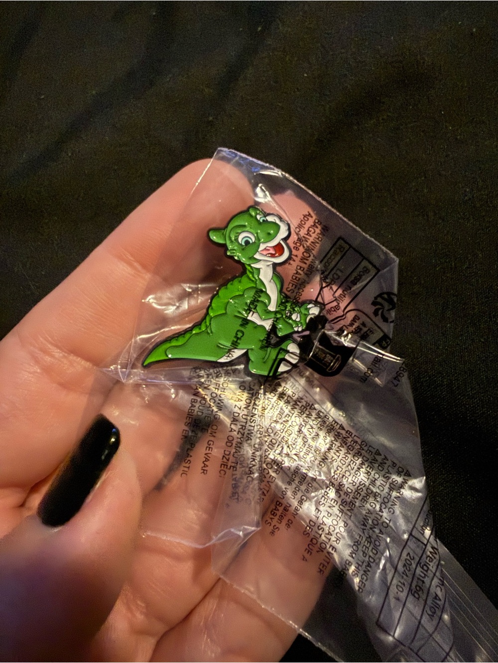 🌟Bundle Sale Land Before Time Pin